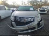 CADILLAC SRX LUXURY COLLECTION photo