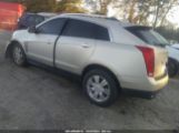 CADILLAC SRX LUXURY COLLECTION photo