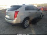 CADILLAC SRX LUXURY COLLECTION photo