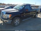 FORD F-150 XL/XLT photo