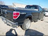 FORD F-150 XL/XLT photo