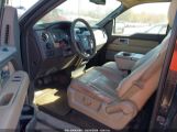 FORD F-150 XL/XLT photo