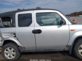 HONDA ELEMENT EX photo