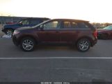 FORD EDGE LIMITED photo