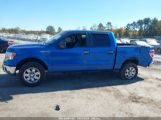 FORD F150 SUPERCREW photo