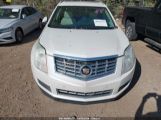 CADILLAC SRX LUXURY COLLECTION photo