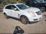 CADILLAC SRX LUXURY COLLECTION photo