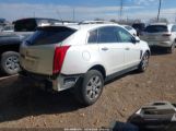 CADILLAC SRX LUXURY COLLECTION photo