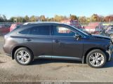 LEXUS RX 450H photo