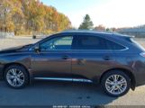 LEXUS RX 450H photo