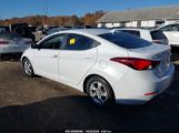 HYUNDAI ELANTRA SE photo