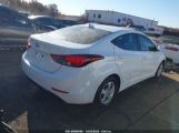 HYUNDAI ELANTRA SE photo