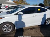 HYUNDAI ELANTRA SE photo