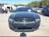 FORD MUSTANG V6 photo