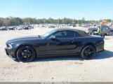 FORD MUSTANG V6 photo