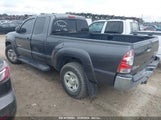 TOYOTA TACOMA PRERUNNER V6 5TETU4GN5AZ****** снимка