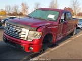 FORD F-150 PLATINUM 1FTFW1CT0EF****** снимка