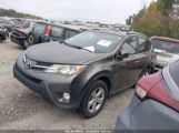 TOYOTA RAV4 XLE photo