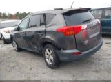 TOYOTA RAV4 XLE photo