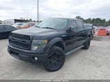 FORD F-150 FX2 1FTFW1CF6DK****** снимка