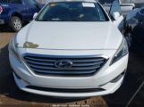 HYUNDAI SONATA SE photo