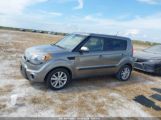 KIA SOUL + photo