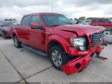 FORD F-150 FX2 SPORT/XL/XLT снимка