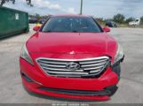 HYUNDAI SONATA SE photo