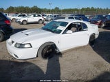 FORD MUSTANG 10TH ANNIVERSARY PACKAGE/COBRA 1FAFP48Y83F****** снимка