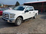 FORD F-150 XLT 1FTEW1C86FF****** fotografie