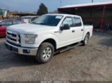 FORD F-150 XLT photo