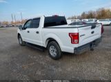 FORD F-150 XLT photo