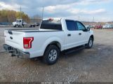 FORD F-150 XLT photo