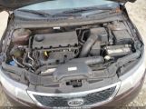 KIA FORTE EX photo