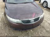 KIA FORTE EX photo