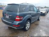 MERCEDES-BENZ ML 350 photo