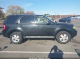 FORD ESCAPE XLT photo