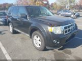 FORD ESCAPE XLT photo