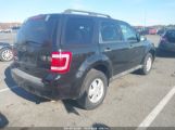 FORD ESCAPE XLT photo