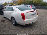 CADILLAC XTS LUXURY photo