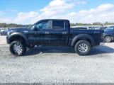 FORD F-150 photo