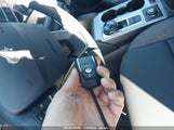 FORD BRONCO SPORT BIG BEND 3FMCR9B63RR****** снимка