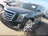 CADILLAC ESCALADE PREMIUM снимка