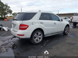 MERCEDES-BENZ ML 350 4MATIC 4JGBB8GB3AA****** снимка