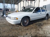 CHEVROLET CAPRICE / IMPALA CLASSIC SS 1G1BL52P0TR****** снимка