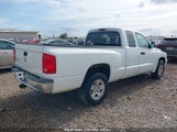 DODGE DAKOTA SLT 1D7HE42K06S****** fotografie