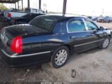 LINCOLN TOWN CAR SIGNATURE LIMITED photo