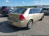CHEVROLET MALIBU MAXX LS 1G1ZT62815F****** fotografie