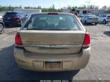 CHEVROLET MALIBU MAXX LS 1G1ZT62815F****** fotografie