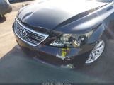 LEXUS LS 460 photo